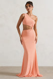 Aspyn Coral Asymmetric Twisted Cut-Out Fishtail Maxi Dress