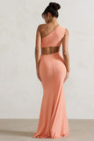 Aspyn Coral Asymmetric Twisted Cut-Out Fishtail Maxi Dress