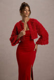 Tulip Twirl Red Mesh Floral Cropped Jacket