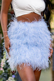 Day Dream Powder Blue Feather Mini Skirt