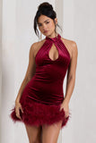 Tillie Berry Velvet High Neck Trapeze Mini Dress With Feather Hem Detail