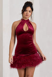 Tillie Berry Velvet High Neck Trapeze Mini Dress With Feather Hem Detail
