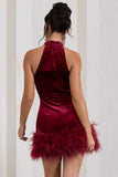 Tillie Berry Velvet High Neck Trapeze Mini Dress With Feather Hem Detail
