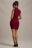 Lalani Wine Ruched High-Neck Mini Dress