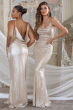 Galaxy Shimmer Gold Bias Cut Cowl Front Maxi Dress