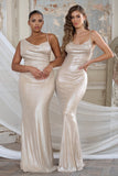Galaxy Shimmer Gold Bias Cut Cowl Front Maxi Dress