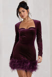 Tamsin Port Velvet Long-Sleeved Feather Mini Dress
