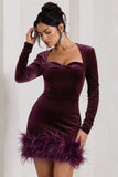 Tamsin Port Velvet Long-Sleeved Feather Mini Dress