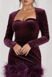 Tamsin Port Velvet Long-Sleeved Feather Mini Dress