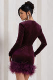 Tamsin Port Velvet Long-Sleeved Feather Mini Dress