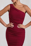 The Limelight Berry One Shoulder Ruched Maxi Dress