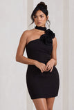 The Party Black Mini Dress With Ruffled Choker