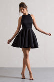 Waverly Black Racer-Neck Sleeveless Skater Mini Dress