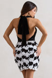 Serenade Black & White Plunge Halter-Neck Mini Dress With Flowers