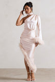 Dolce Champagne Satin Asymmetric One Sleeve Maxi Dress With Feather Trims