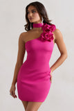 The Social Dark Pink Mini Dress With Ruffled Choker
