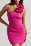 The Social Dark Pink Mini Dress With Ruffled Choker