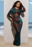 Cruz Blue Print Mesh Long-Sleeve Maxi Dress