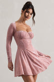 Evangelina Pink Long-Sleeve Skater Mini Dress