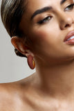 Lavern Brown Chunky Hoop Earrings