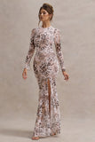 Tigerlily Leopard Print Mesh Long-Sleeve Open-Back Maxi Dress