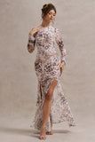 Tigerlily Leopard Print Mesh Long-Sleeve Open-Back Maxi Dress