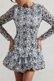 Claribel Black & White Lace Long-Sleeve Mini Dress With Ruffle Hem