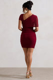 Himalaya Mulberry Ruched Mini Dress With Mesh Overlay