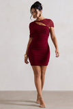 Himalaya Mulberry Ruched Mini Dress With Mesh Overlay