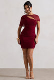 Himalaya Mulberry Ruched Mini Dress With Mesh Overlay