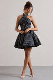 Levie Navy Polka Dot Halter-Neck Mini Dress
