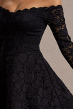Alliste Black Lace Bardot Mini Dress