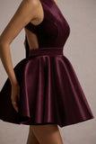 Mackie Port Velvet Sleeveless Skater Mini Dress