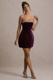 Naia Port Velvet Embellished Bandeau Mini Dress