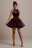Mackie Port Velvet Sleeveless Skater Mini Dress