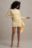 Emilia Lemon Long-Sleeve Mini Dress With Sash