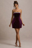 Naia Port Velvet Embellished Bandeau Mini Dress