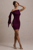 Ilythia Plum Asymmetric Mini Dress With Tie Sleeve
