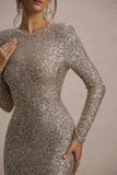 Citrine Champagne Sequin Long-Sleeve Maxi Dress