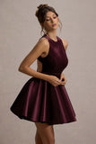 Mackie Port Velvet Sleeveless Skater Mini Dress