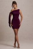Ilythia Plum Asymmetric Mini Dress With Tie Sleeve