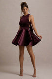 Mackie Port Velvet Sleeveless Skater Mini Dress