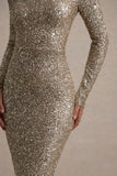 Galaxy Champagne Sequin Turtle-Neck Long-Sleeve Maxi Dress