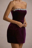 Naia Port Velvet Embellished Bandeau Mini Dress