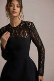 Birdie Black Lace Long-Sleeve Mini Dress