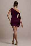 Ilythia Plum Asymmetric Mini Dress With Tie Sleeve