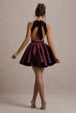 Mackie Port Velvet Sleeveless Skater Mini Dress