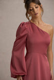 Haila Rose Pink Satin One-Shoulder Maxi Dress