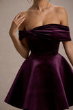 Dede Port Velvet Bow Bardot Skater Mini Dress