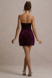 Naia Port Velvet Embellished Bandeau Mini Dress